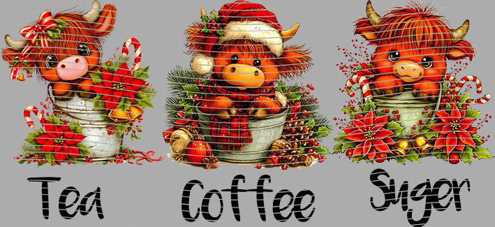 16oz Christmas-J10-2447